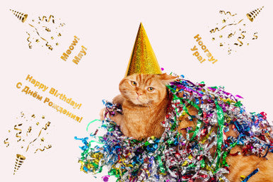 FOXIT Russian Bilingual Birthday Cards